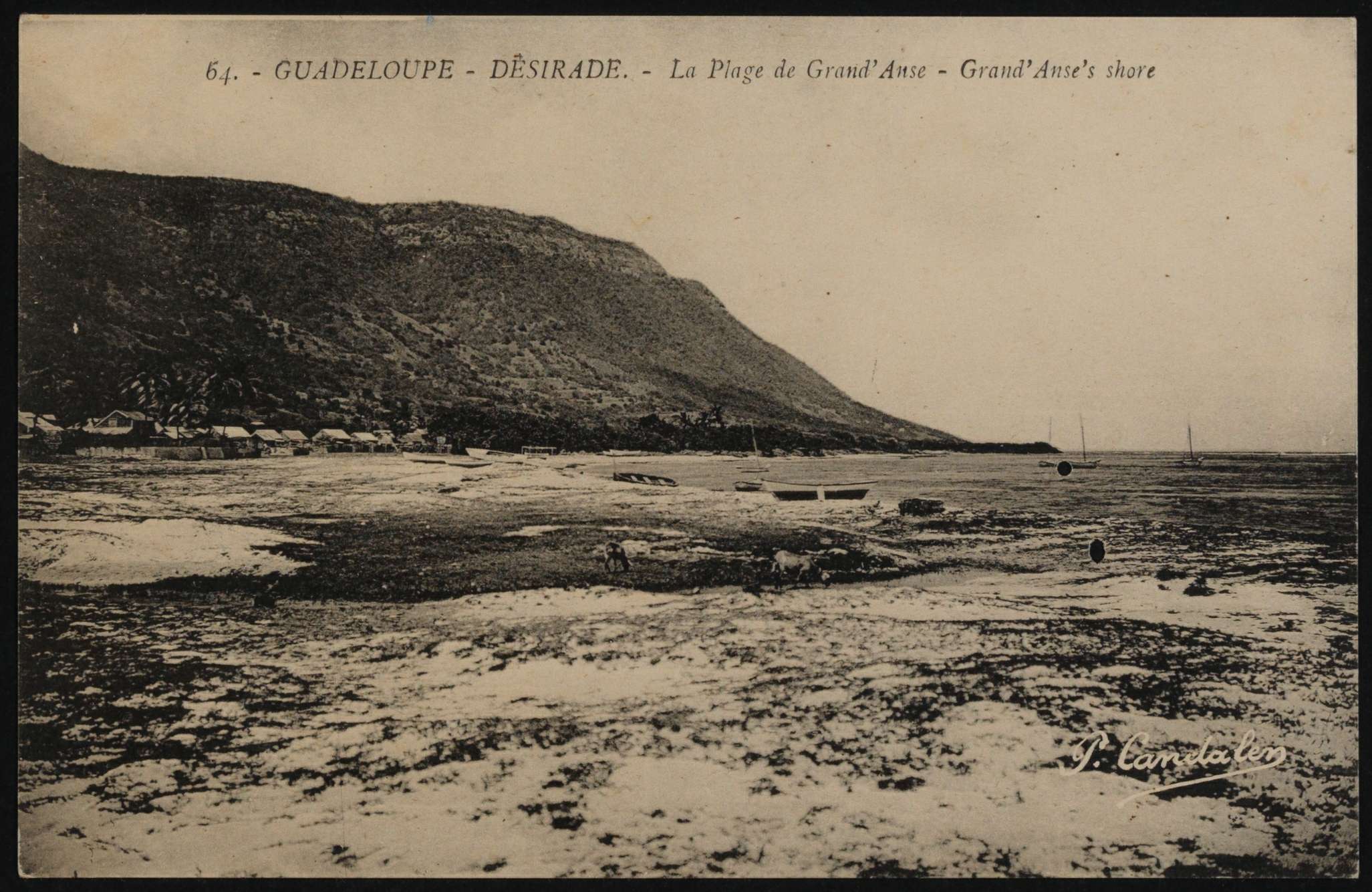 063 - La Désirade, Grande Anse, Début 20ème siècle