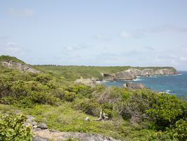 039 - Saint-Louis, Caye Plate, Site classé des Falaises du Nord-Est de Marie-Galante, juin-juillet 2016