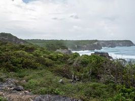 039 - Saint-Louis, Caye Plate, Site classé des Falaises du Nord-Est de Marie-Galante, octobre 2017