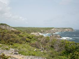 039 - Saint-Louis, Caye Plate, Site classé des Falaises du Nord-Est de Marie-Galante, juillet 2018